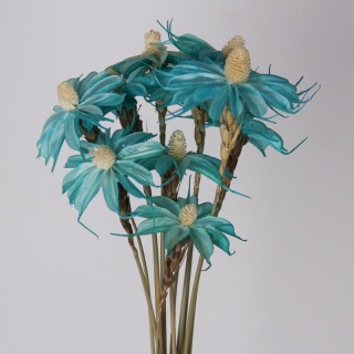 Petites marguerites fleurs séchées
