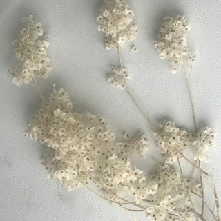Decorazione artistica con bouquet di fiori secchi