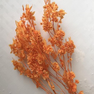Decorazione artistica con bouquet di fiori secchi