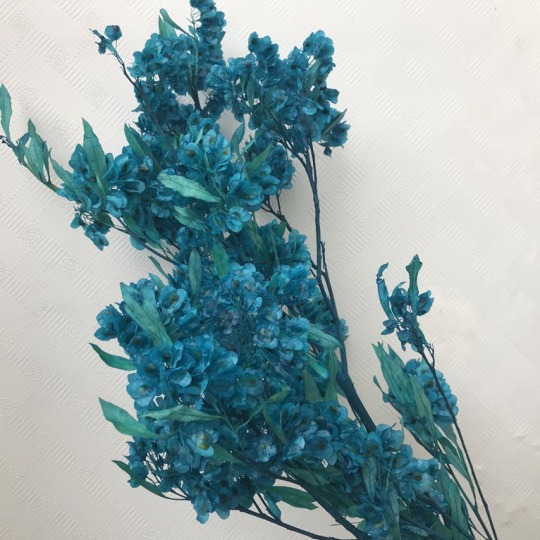 सूखे फूलों का गुलदस्ता कला सजावट