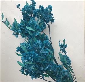 Decorazione artistica con bouquet di fiori secchi