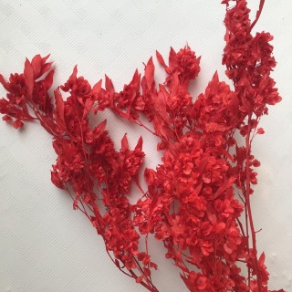 Decorazione artistica con bouquet di fiori secchi