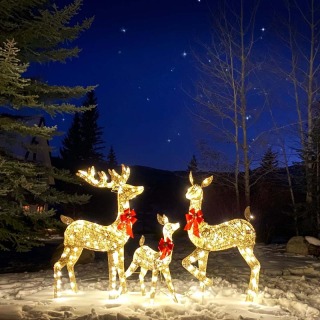 Decorazione natalizia con renna natalizia a led