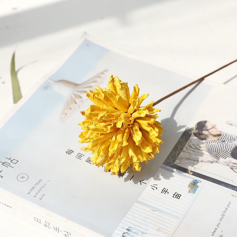 dried flower decor