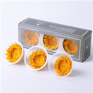 Fiore reale naturale di girasole conservato
