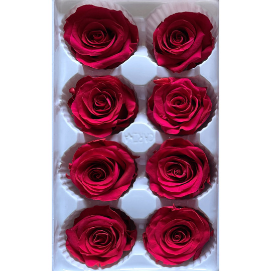 4-5 सेमी संरक्षित असली गुलाब ग्रेड ए