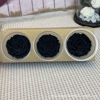 Rosa stabilizzata di grado A da 7-8 cm