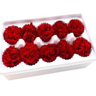 Bahan DIY Hari Ibu Carnation yang Dipelihara