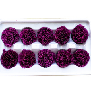 Bahan DIY Hari Ibu Carnation yang Dipelihara