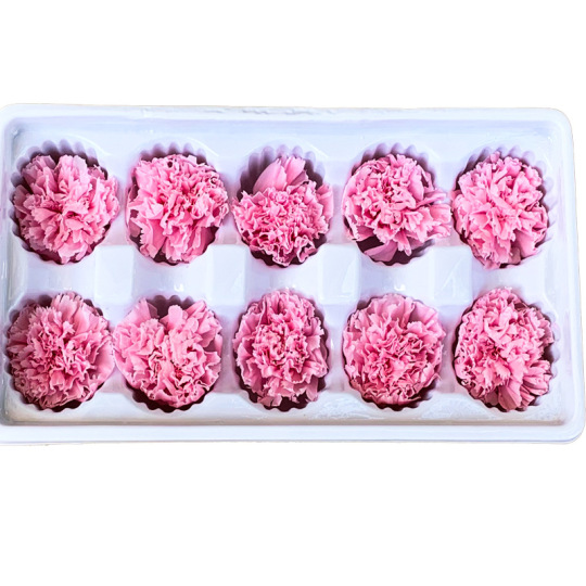 संरक्षित कार्नेशन मातृ दिवस DIY सामग्री