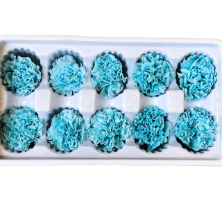 Bahan DIY Hari Ibu Carnation yang Dipelihara