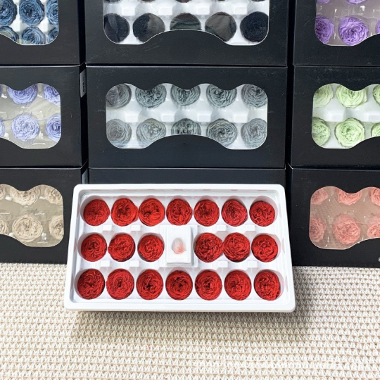 2-3 सेमी संरक्षित ऑस्टिन गुलाब