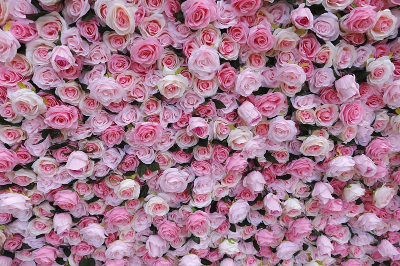 flower wall backdrop