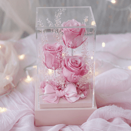 ऐक्रेलिक बॉक्स सजावट में 3 प्रमुख संरक्षित गुलाब