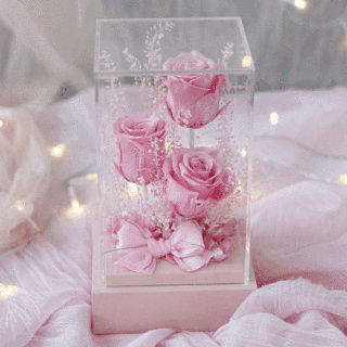 Decorazione di scatola acrilica con 3 teste di rosa stabilizzata
