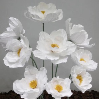 Grande fleur en papier Fleur de pavot géant blanc rose