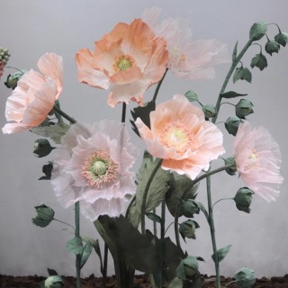 Grande fiore di carta Fiore di papavero gigante bianco rosa