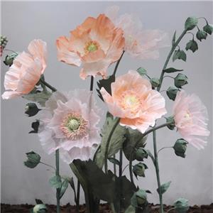 Grande fleur en papier Fleur de pavot géant blanc rose