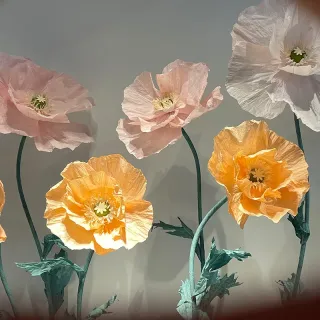 Alat Pentas Hiasan Bunga Kertas Gergasi Pelbagai Warna