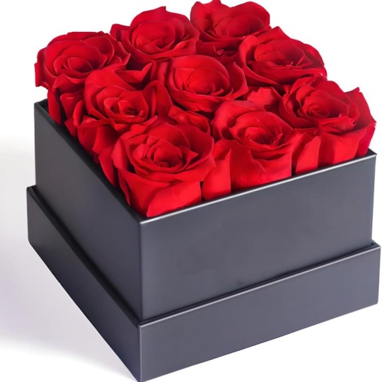 9 Capi Di Rose Eterne In Scatola Quadrata