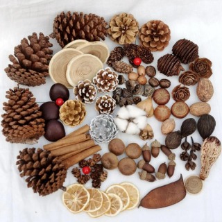 Borsa in materiale misto pigne secche naturali