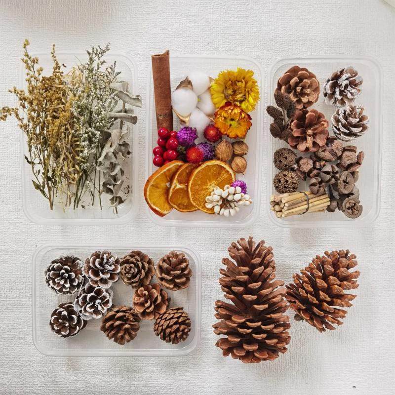 natural pine cones