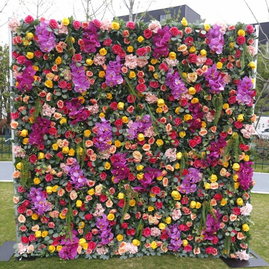 Parete di fiori colorati Phalaenopsis artificiale