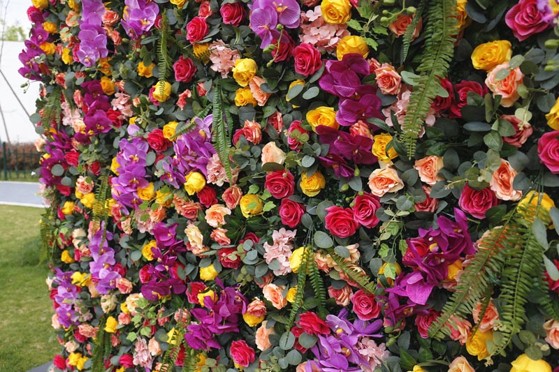 flower backdrop