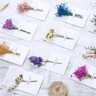 Nuovi stili di biglietti d'auguri con fiori secchi