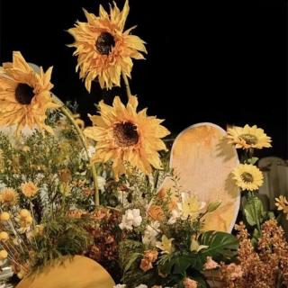 Fiore di carta girasole gigante