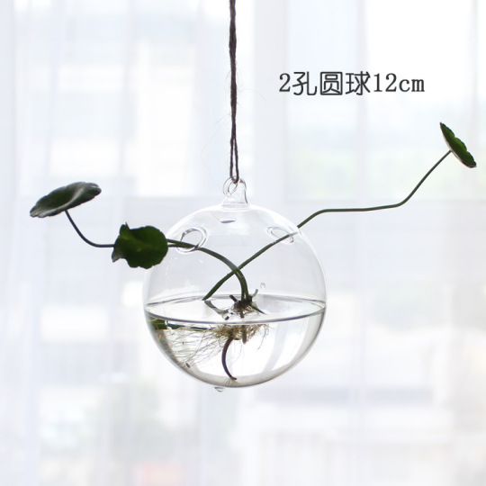 Pasu Kaca Hidroponik Gantung Kreatif