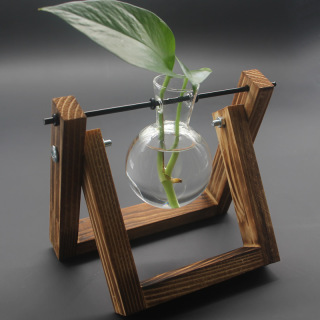 Ornements de vase de plantes hydroponiques à cadre en bois
