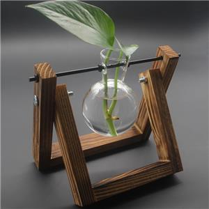 Ornements de vase de plantes hydroponiques à cadre en bois