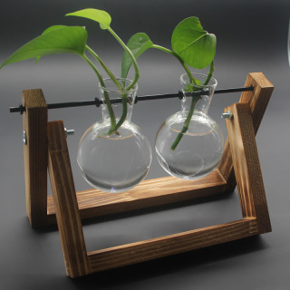 Ornements de vase de plantes hydroponiques à cadre en bois