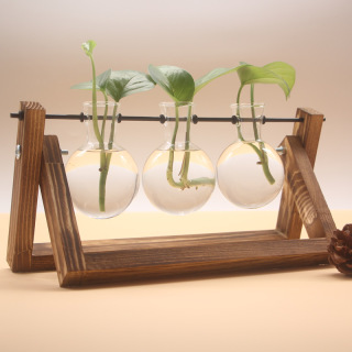 Ornements de vase de plantes hydroponiques à cadre en bois