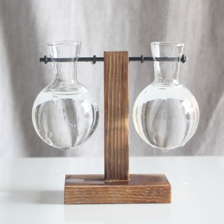 Ornements de vase de plantes hydroponiques à cadre en bois