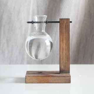Ornements de vase de plantes hydroponiques à cadre en bois