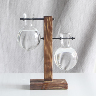 Ornements de vase de plantes hydroponiques à cadre en bois