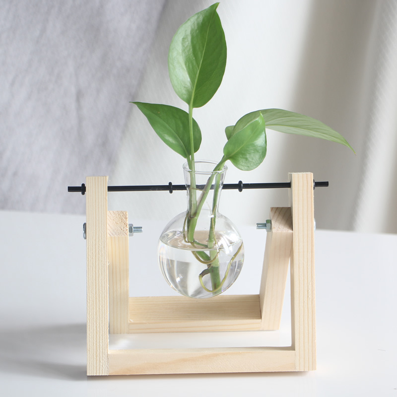 hydroponic vase