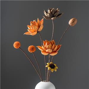 Sejambak Bunga Kering Lotus Pod kering udara