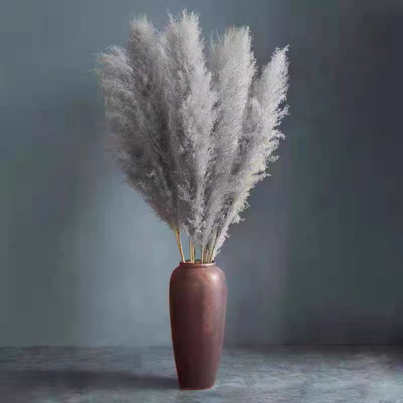 dried pampas grass