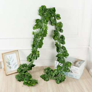 Імітація Pothos Vine