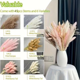 Soffice erba di pampa per una decorazione elegante