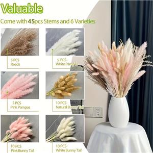 Herbe de Pampa moelleuse pour une décoration élégante