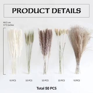 Herbe de Pampa moelleuse pour une décoration élégante