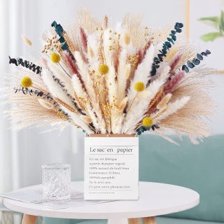 Herbe de Pampa moelleuse pour une décoration élégante