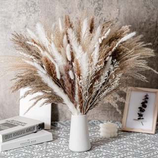 Herbe de Pampa moelleuse pour une décoration élégante