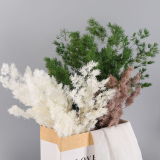 Pino Penglai: elegante arredamento naturale