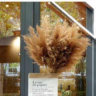 Erba di pampa secca: decorazioni per la casa eleganti