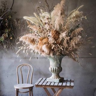Erba di pampa secca: decorazioni per la casa eleganti